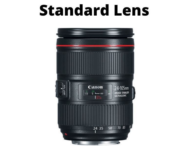 Standard Lens