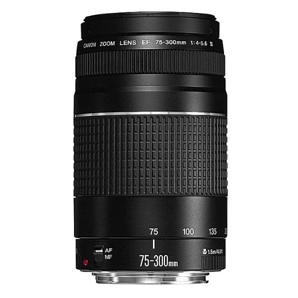 Canon-EF 75-300mm-Lens