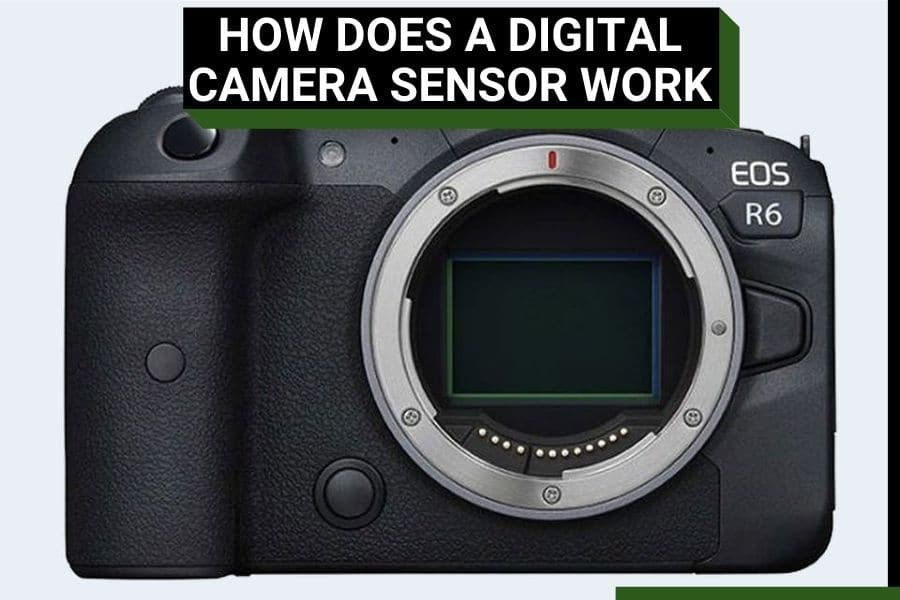 How Does A Digital Camera Sensor Work