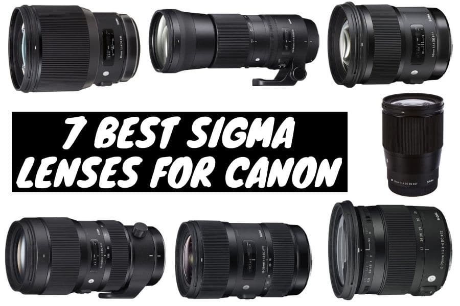 Best Sigma Lenses for Canon