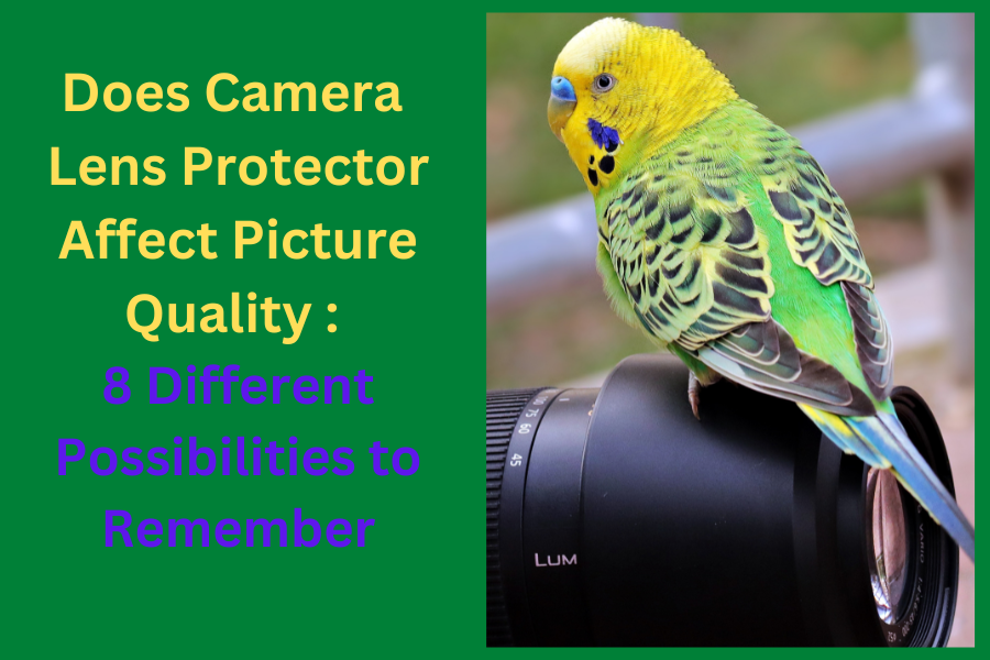 Does Camera Lens Protector Affect Picture Quality